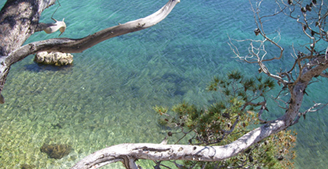 Lit de la chambre d'h&ocirc;te